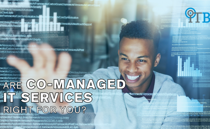 ARE CO-MANAGED IT SERVICES RIGHT FOR YOUR BUSINESS?